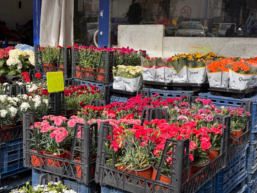 An outdoor display of vibrant potted carnations in shades of pink, red, white, yellow, and orange arranged in black plastic crates and white branded plant bags, set against a store window with visible