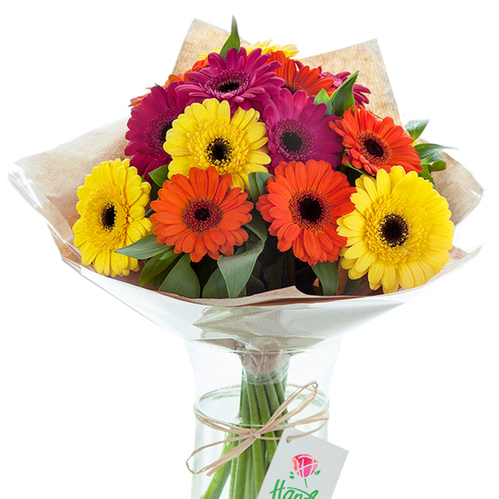 Set against a flawless white canvas, a vibrant bouquet of Gerbera daisies stands impressively tall in a clear glass vase, embodying the freshness and energy of New Eltham Florist's signature style. The arrangement is a joyful contrast of rich fuchsia, blazing orange, and sunny yellow, each flower shaped by a dark, eye-catching centre. Sprigs of deep green foliage weave through the bouquet, providing layered texture and a sense of movement, like a spring breeze over Avery Hill's lawns. The flowers are gathered in hand-tied fashion, sheathed first in crisp, crinkled cellophane and then enveloped in a rustic sleeve of natural brown kraft paper, exuding a handcrafted, local feel. The vase reveals the sturdy stems, bundled with a piece of twine, from which a small white tag with a red rose detail lightly swings. This composition would be perfectly at home on a sunlit table in New Eltham, offering a pop of colour to celebrate birthdays, anniversaries, or simply to uplift spirits on a weekday morning. The image tells a story of care, local tradition, and the simple joy that expertly crafted flowers can bring.
